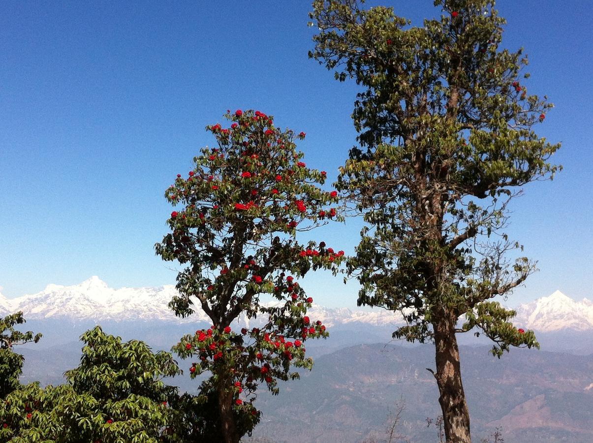 Thikalna Himalayan Retreat Villa Almora Luaran gambar