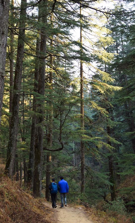 Thikalna Himalayan Retreat Villa Almora Luaran gambar